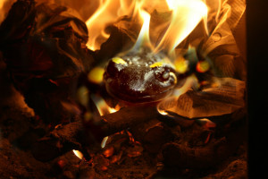 Elemental_Fire__Salamander_by_ReanDeanna